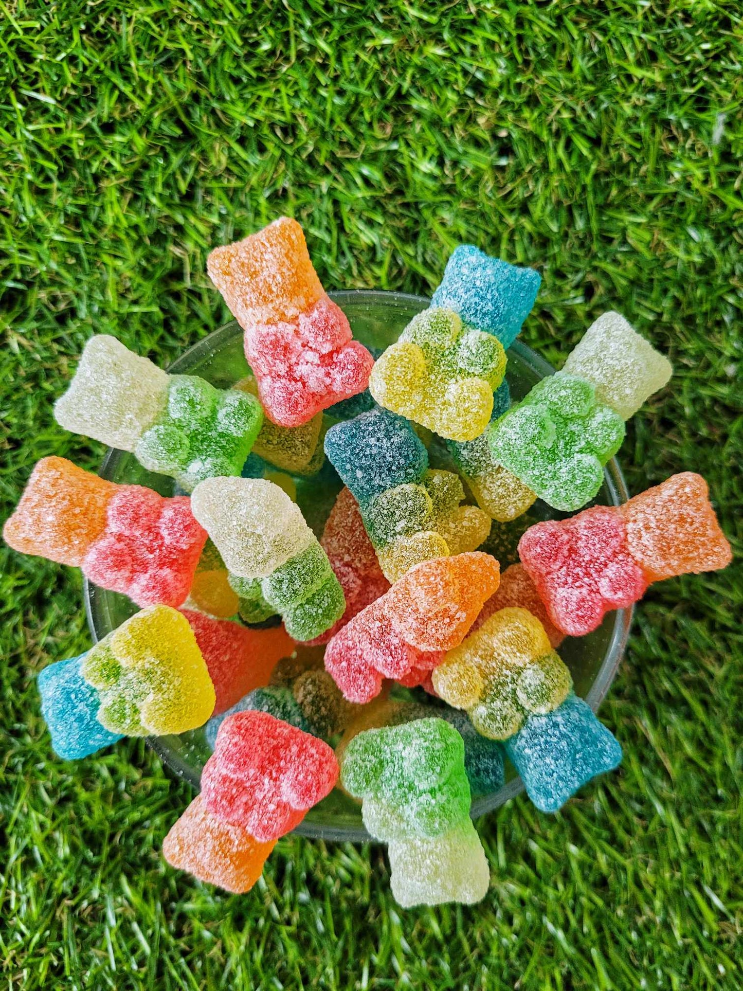 Sour Gummy Bears (GF)